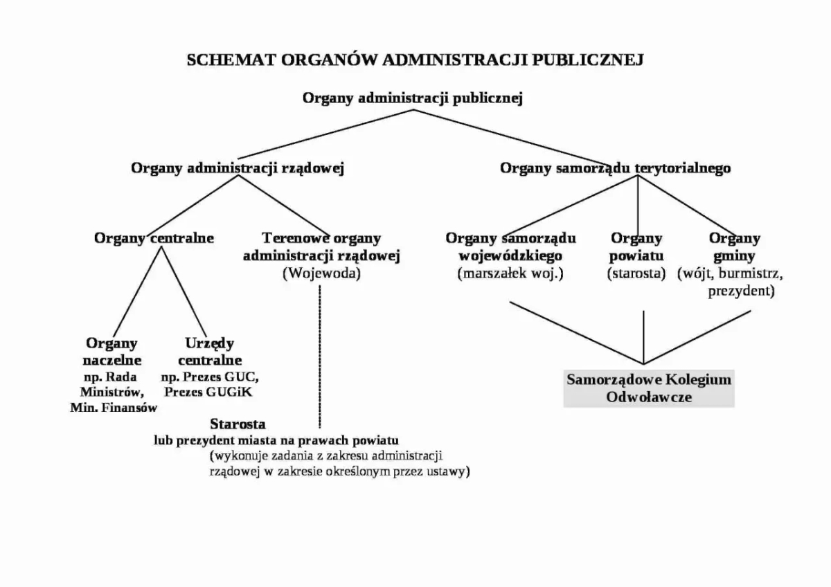 Czy sąd jest organem administracji publicznej? Prawda, która zaskakuje