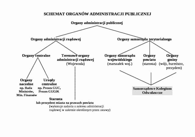 Czy sąd jest organem administracji publicznej? Prawda, która zaskakuje
